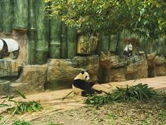 -贵州森林野生动物园