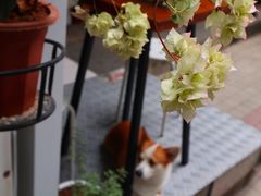 -小梁哥云吞面(黄贝岭店)