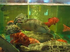 -聚福宝合苑食府(南头镇店)