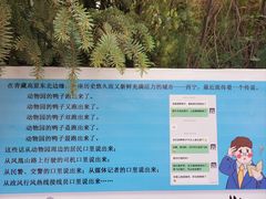 -青藏高原野生动物园