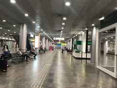 -谢列梅捷沃国际机场