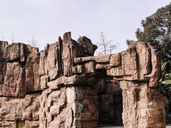 -成都动物园