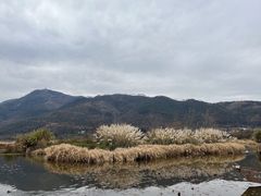 -西昌邛海湿地