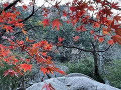-崂山九水游览区
