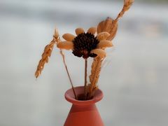 -庆江南江南菜(琴湖溪里花园城店)