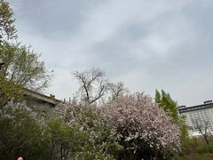 -迎泽公园