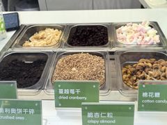 -Salud撒露欧洲冻酸奶(蓝色港湾店)