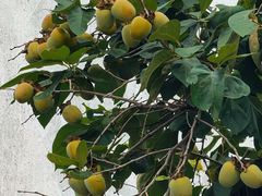 -丝绸小镇荻港古村