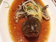 油浸海斑鱼-宋园·金宴浙鲜馆(静安店)