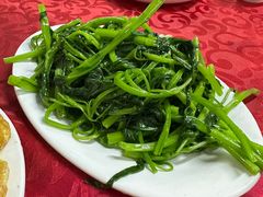 -蛇口康乐快餐鱼仔档(翠苑小区店)