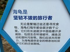 -广东惠东海龟国家级自然保护区