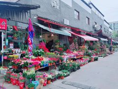 -平吉花卉市场