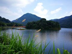 -广州市石门国家森林公园