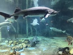 -华夏文旅海洋公园