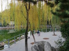 -莲湖公园