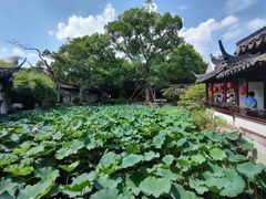-上海醉白池公园