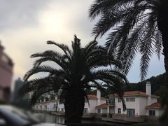 -圣爵菲斯大酒店(长沙世界之窗店)