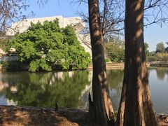 -汕头大学-图书馆