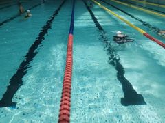 -重庆市奥林匹克体育中心-游泳跳水馆