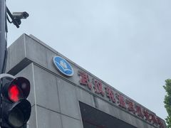 -武汉关码头(轮渡站)