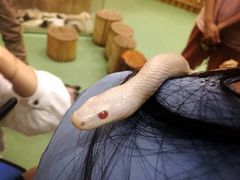 -藦茜花园宠物主题亲子互动体验馆(国顺东路店)