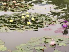 -国家植物园南园