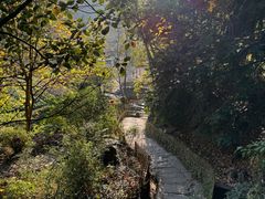 -塔川景区