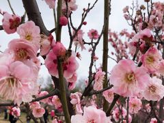 -蜀冈西峰生态公园