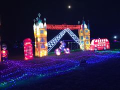 -杭州湾海上花田景区