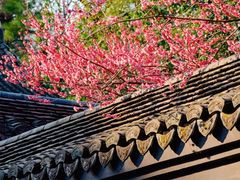 -慧因高丽寺