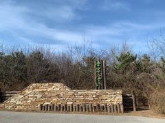 -云岗森林公园