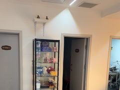 -大象音乐·吉他·架子鼓·声乐(双井店)