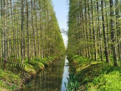 -东平国家森林公园