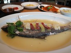 花雕酒酿蒸鲥鱼-宁波柏悦酒店·钱湖渔港