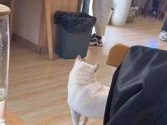 -柴の食堂·日式家庭料理·熊之肆(大学路店)