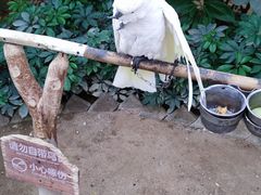 -南宫五洲植物乐园