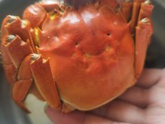 -七的湖·江南蟹舫·阳澄湖农家菜(蟹舫苑店)