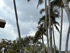 -三亚亚龙湾金棕榈度假酒店