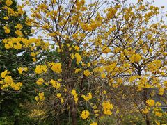 -中国移动南方基地