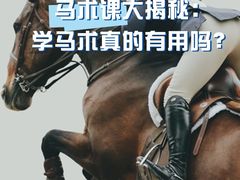 -多维国际马术俱乐部(118广场店)