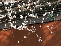 -钱王祠