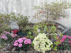 -东钱湖旅游度假区