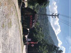 -海南霸王岭国家森林公园