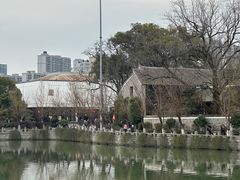 -八大山人梅湖景区