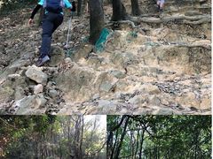 -火炉山森林公园