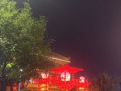 -《驼铃传奇》秀