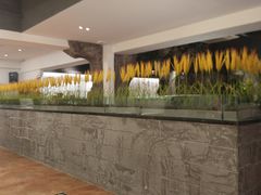 -老湘亲·品鉴湘菜(湖里店)