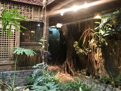 -聚缘堂·海鲜私房菜(松岭路店)