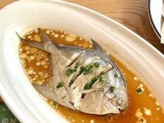 葱油鲳鱼-原製原味(普陀山磐龙店)