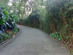 -南岗山公园